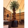 درخت نخل مصنوعی ۴ متری